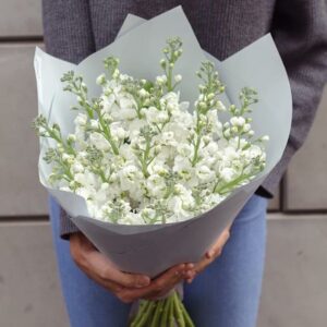 букет из маттиолы