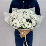 ромашки букет