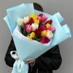 25 тюльпанов микс Premium