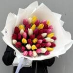 51 тюльпан микс Premium