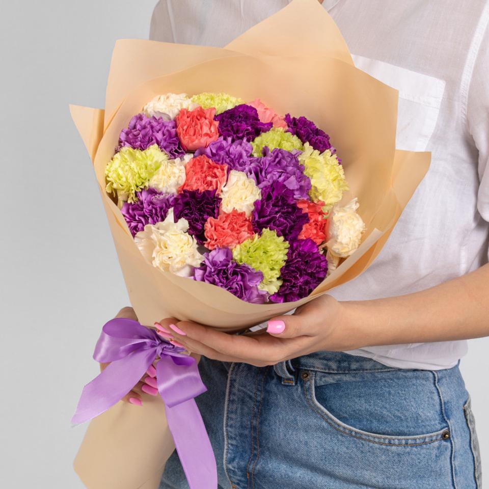 разноцветные диантусы