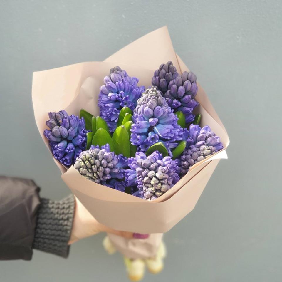 9 синих гиацинтов
