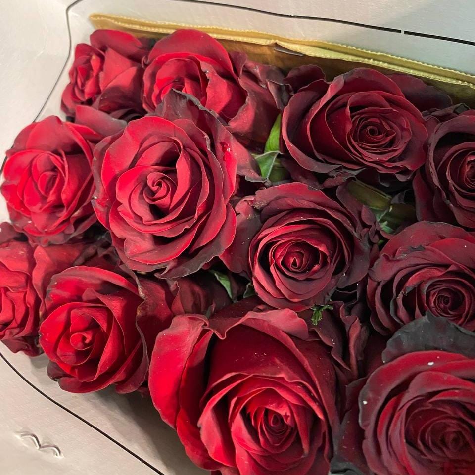 роза эквадор в пачке