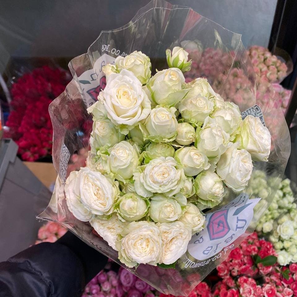 MISS BOMBASTIC кустовая роза