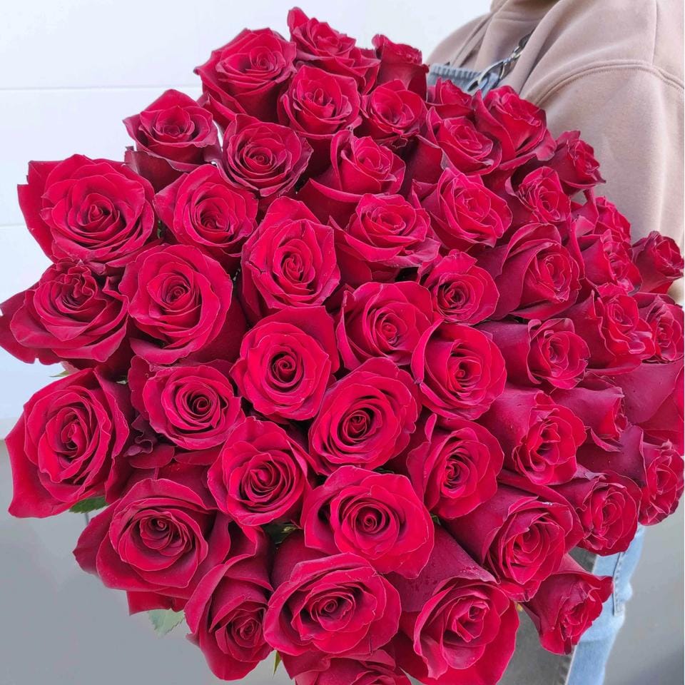 Красные розы Эквадор
