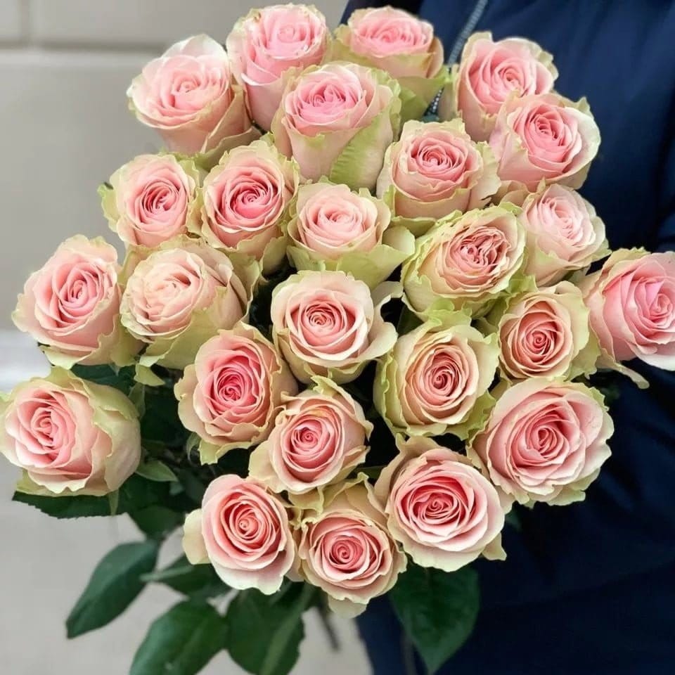 розы эквадор frutetto